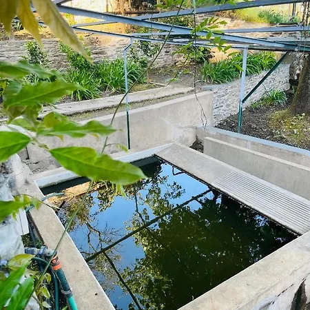 Quinta Da Xistosa Villa *