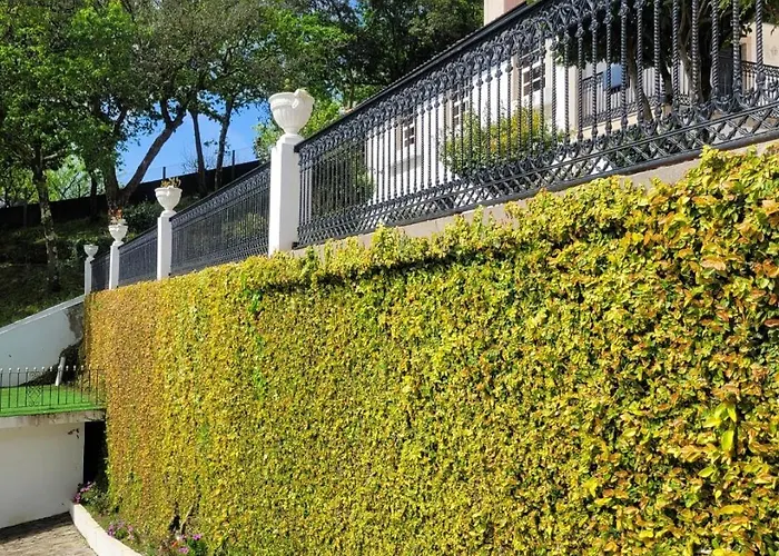 ヴィラ Quinta Da Xistosa